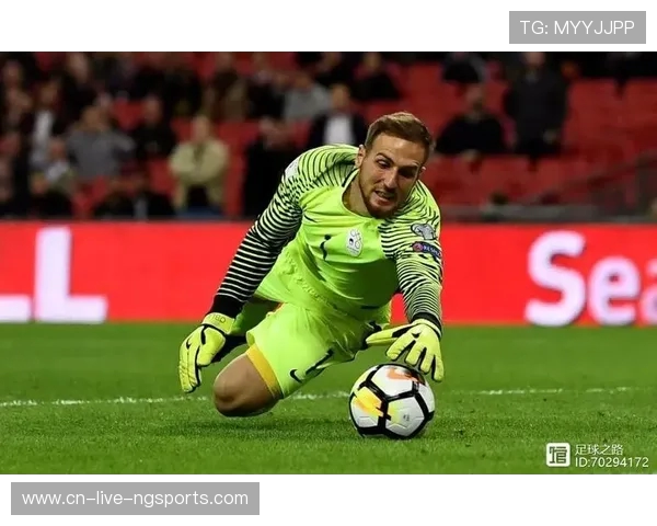 深度对话:王磊谈足球梦想与人生旅程的精彩瞬间